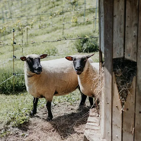 Am Herbsthof Сasa de vacaciones Leutschach