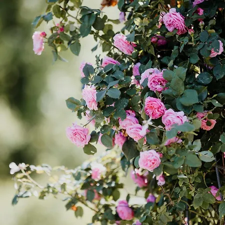 Am Herbsthof Сasa de vacaciones *