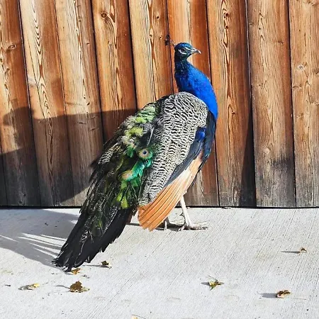 Am Herbsthof Vakantiehuis