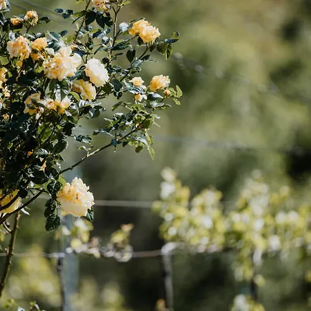 Сasa de vacaciones Am Herbsthof