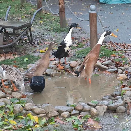 Am Herbsthof Сasa de vacaciones *