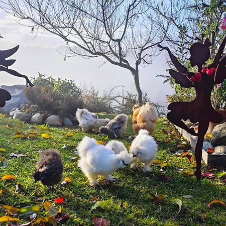 Vakantiehuis Am Herbsthof *