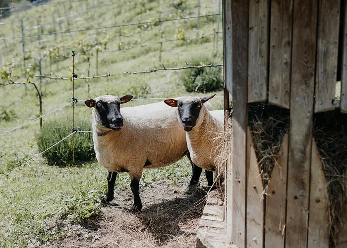 Am Herbsthof بيت للعطل ليوتسشاخ