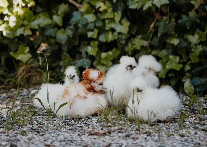 Am Herbsthof Feriehus