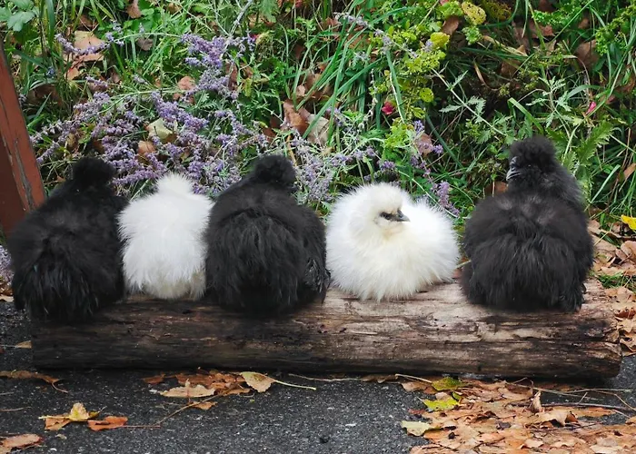 Am Herbsthof Feriehus Leutschach