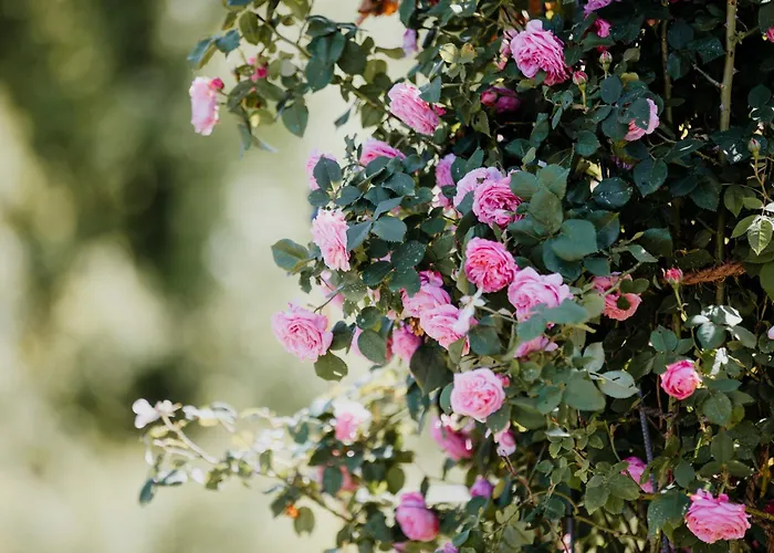 Am Herbsthof بيت للعطل *