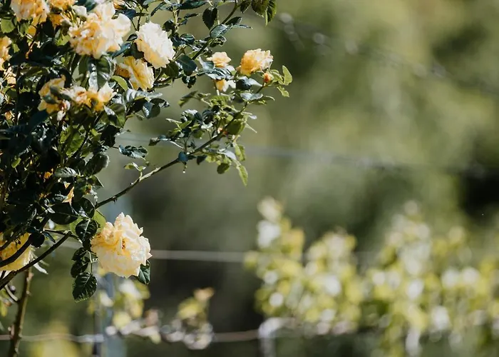 بيت للعطل Am Herbsthof