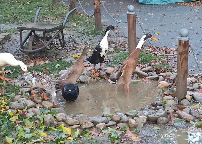 Am Herbsthof بيت للعطل *